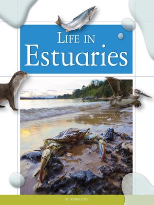 cover image of Life in Estuaries